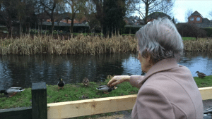Margaret feeding the ducks