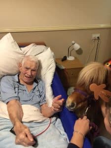 Christmas 2017 - shetland pony visits resident in room
