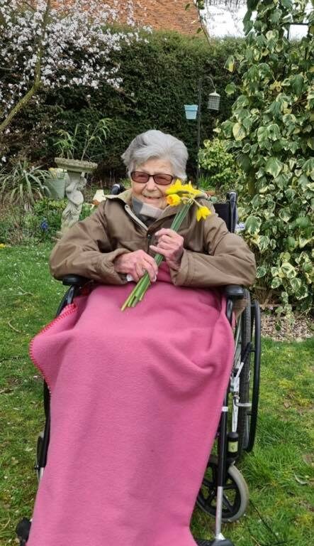 lady in the garden abberton with daffodils