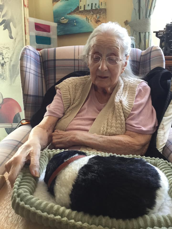 lady resident in chair with robotic pet