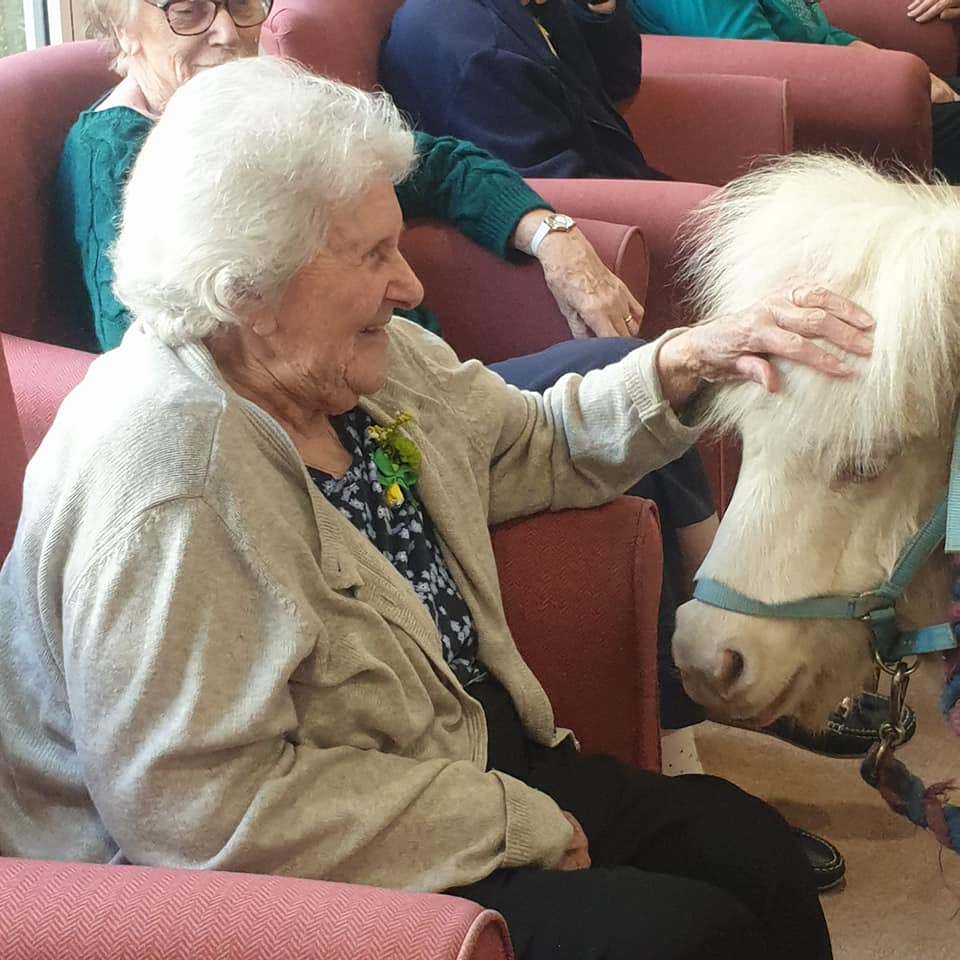 St Patricks Day pony with lady resident