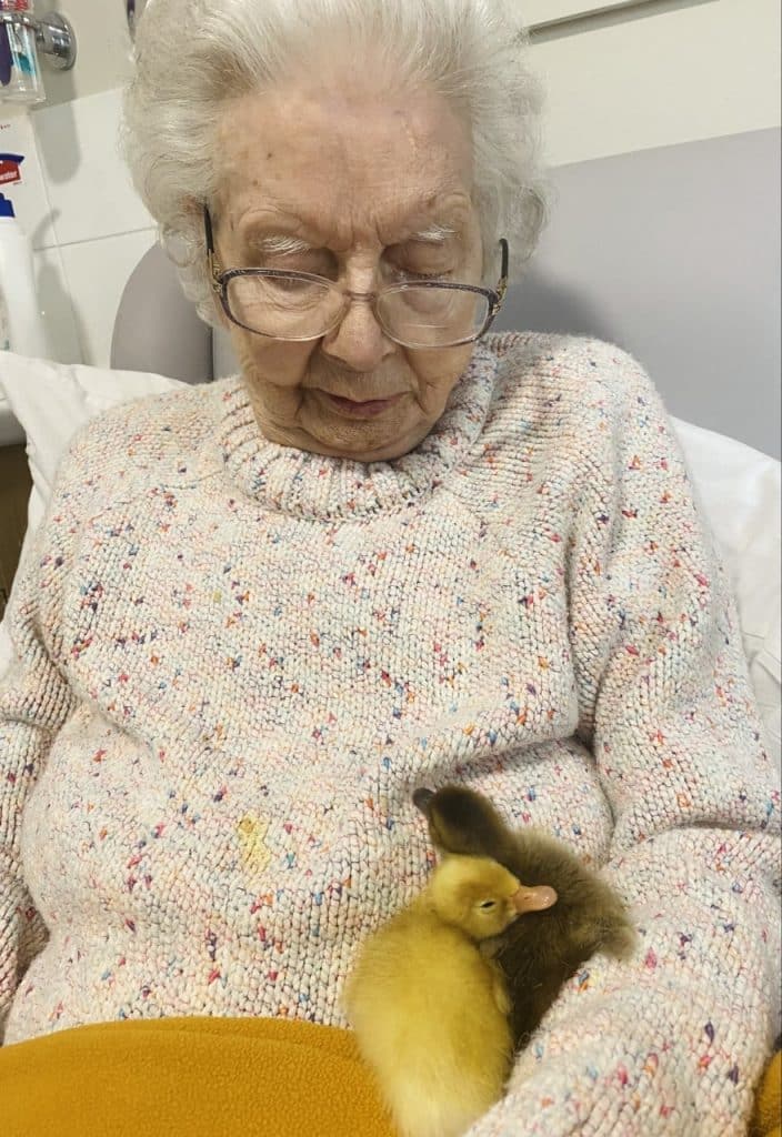lady resident with two ducklings